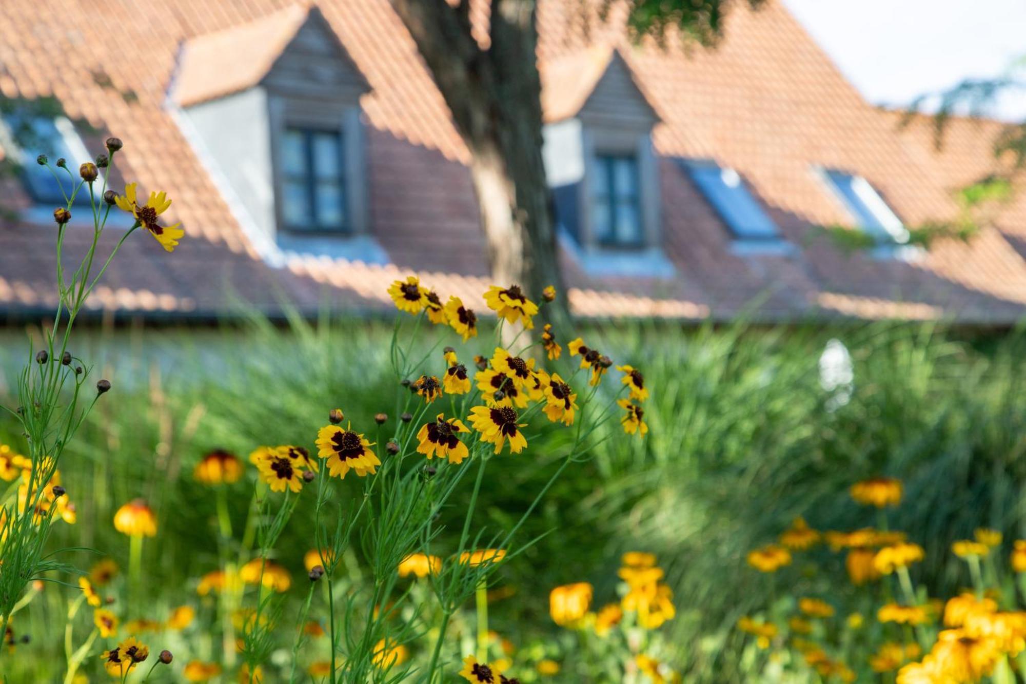 Le Cap Hornu Otel Saint-Valéry-sur-Somme Dış mekan fotoğraf